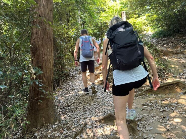 Kamakura Hidden Hike - Starting Point and Trail Highlights