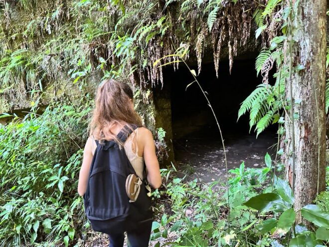 Kamakura Hidden Hike - Off-The-Beaten-Path Locations to Discover