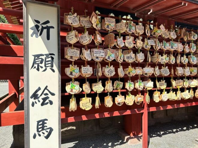 Kamakura Hidden Hike - Reservation and Additional Information