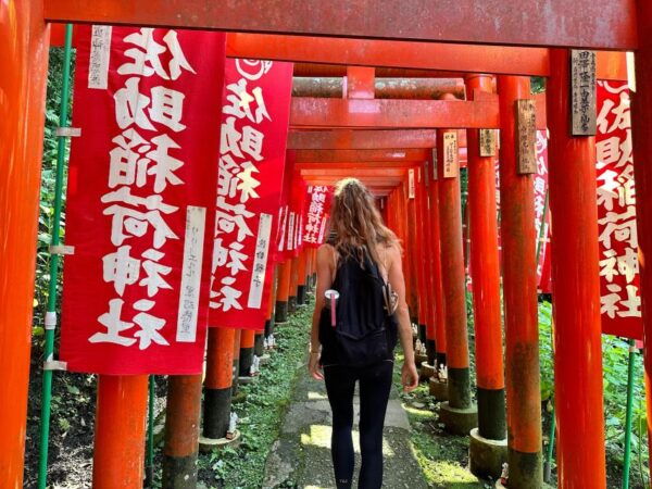Kamakura Hidden Hike - Common Questions
