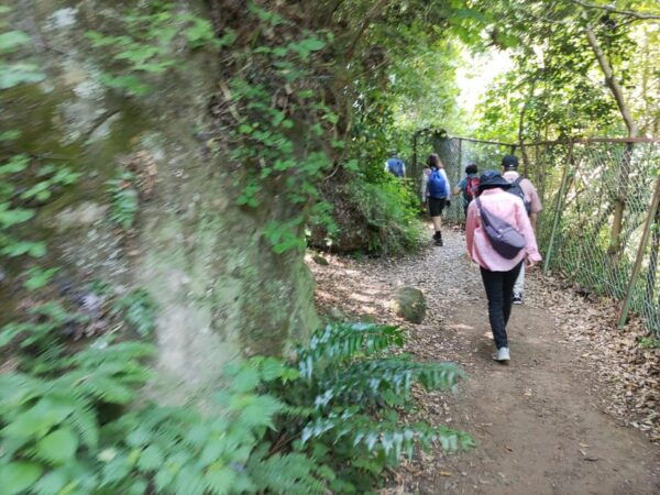 Kamakura: Hiking With Private Guide in Spanish - Meeting Point and Directions