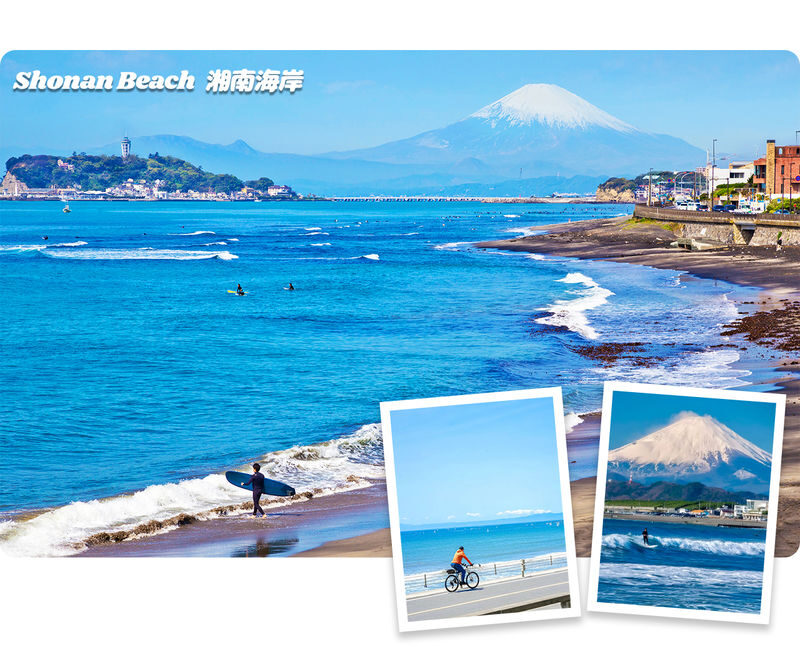 Kamakura | Kamakura Daibutsu & Tsurugaoka Hachimangu & Enoshima Benzaiten Nakamise-dori & Kamakura High School One-Day Tour | Departing from Tokyo - Tsurugaoka Hachimangu and Komachi Street: history with a snack break