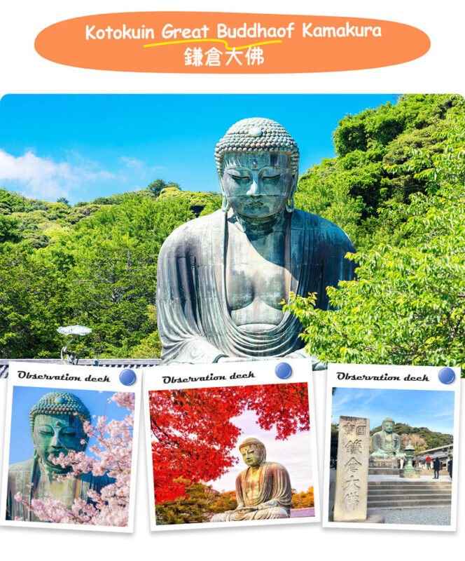 Kamakura | Kamakura Daibutsu & Tsurugaoka Hachimangu & Enoshima Benzaiten Nakamise-dori & Kamakura High School One-Day Tour | Departing from Tokyo - What the price covers, and what it does not