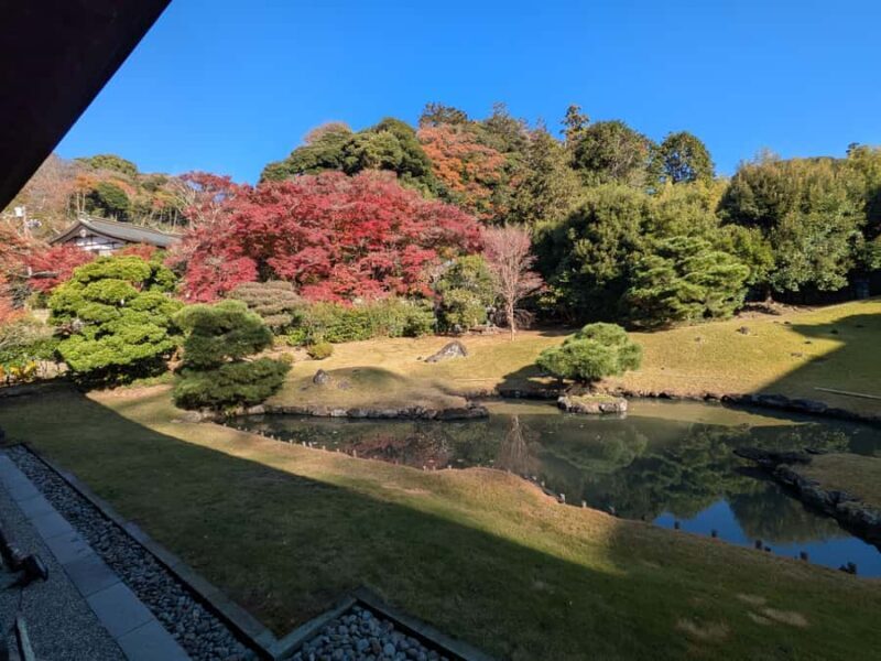 Kamakura: King of Hell, Tsurugaoka Shrine & Zen Tour - Introduction and Overall Impressions