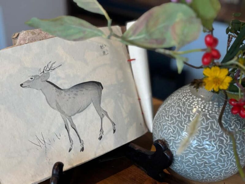 Kamakura: Mindfulness Tea Ceremony Experience - Good To Know