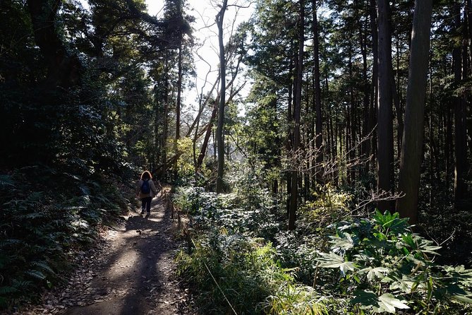 Kamakura One Day Hike Tour With Government-Licensed Guide - Cancellation Policy