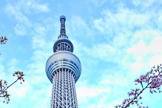 Kamakura or Tokyo Castamized Private Tour -English Speaking Guide - Pricing and Reservation