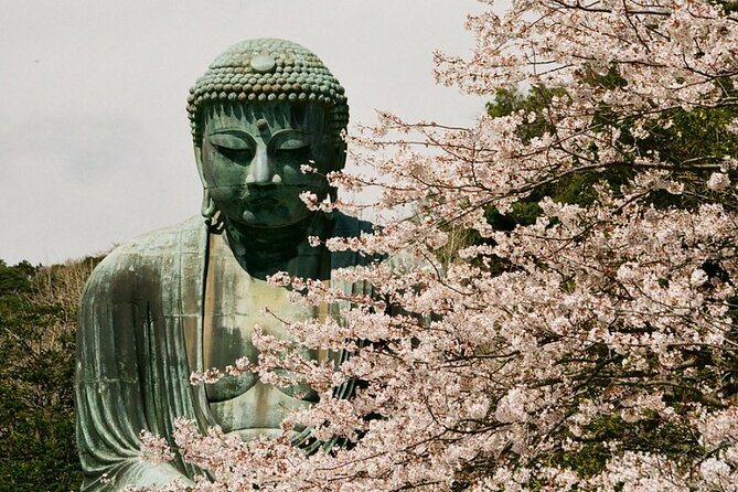 Kamakura or Tokyo Castamized Private Tour -English Speaking Guide - Meeting Point