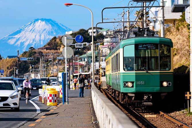 Kamakura or Tokyo Castamized Private Tour -English Speaking Guide - Cancellation Policy
