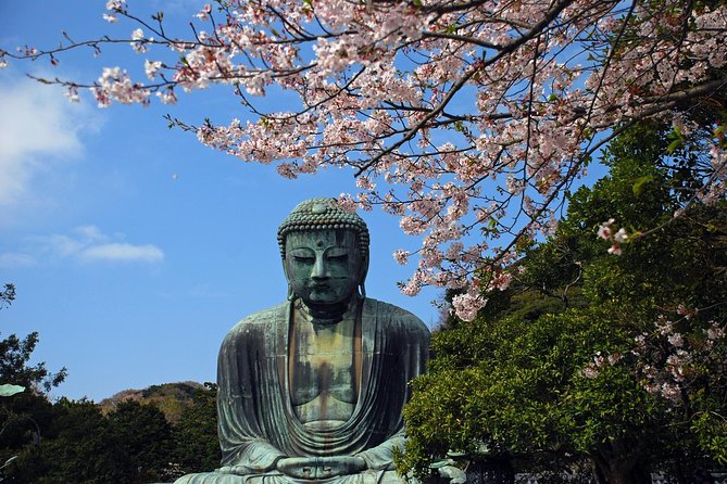 Kamakura Private Custom Tour - Tour Highlights