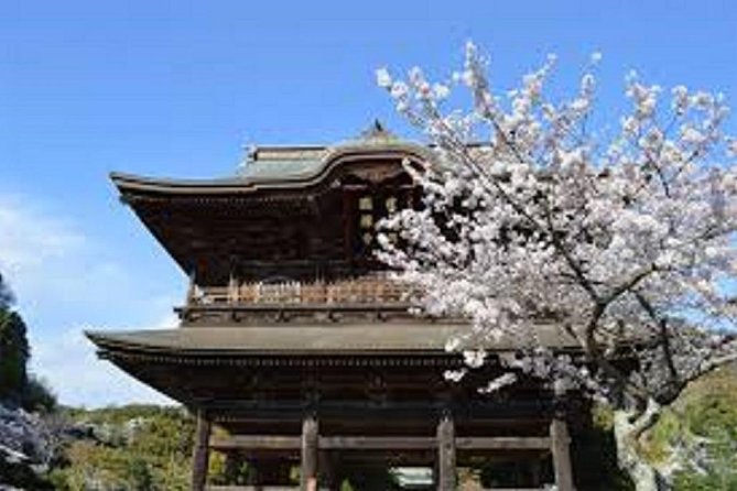 Kamakura Private Custom Tour - Itinerary