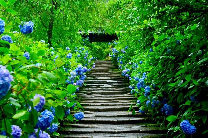 Kamakura Private Custom Tour - Recommended Activities