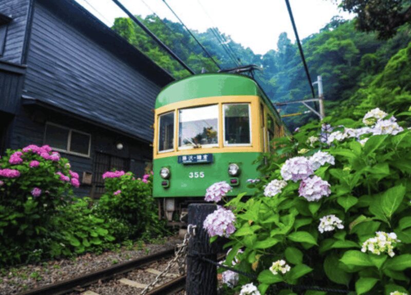 Kamakura Private Custom Tour with Local Guide - Frequently Asked Questions