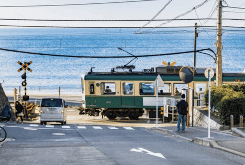 Kamakura Private Custom Tour with Local Guide - An In-Depth Look at the Kamakura Private Custom Tour