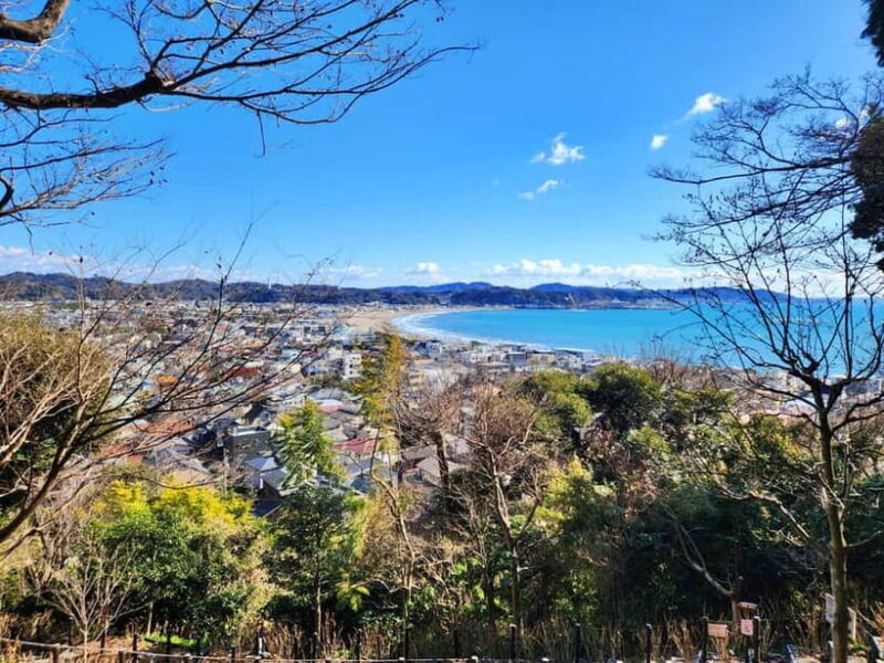 Kamakura Private & Customizable Tour - All-in-One Experience - FAQ