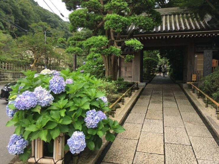 Kamakura: Private History and Heritage Tour by Rickshaw - Experience Highlights
