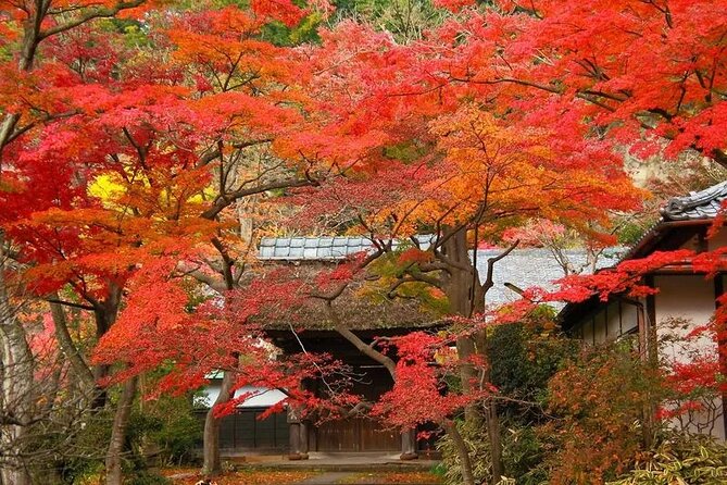 Kamakura Private Photoshoot Tour - Common Questions