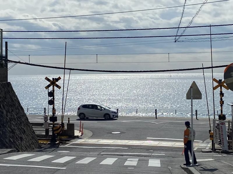 Kamakura Shonan Sea Breeze Ancient Capital and Slam Dunk Pilgrimage | Kamakura Great Buddha, Hachimangu, Enoshima (Free Enoden Experience) - How the guide affects the day