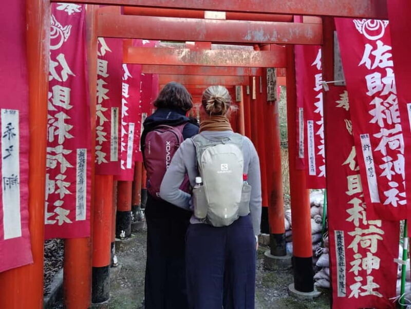 Kamakura: Temples, Shrines & Buddha Walking Tour - Discovering Kamakura’s Hidden Gems on Foot
