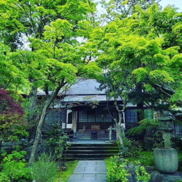 Kamakura Through Time (Hiking, Writing Sutras..) - Connecting With Locals in Kamakura