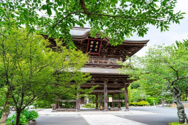 Kamakura Through Time (Hiking, Writing Sutras..) - Unveiling the Traditional Side of Kamakura