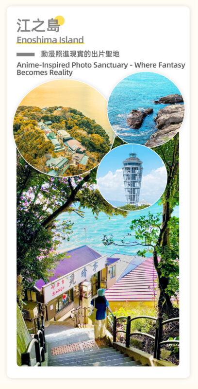 Kamakura | Tram Experience: Kamakura Great Buddha & Kamakura Tram Experience & Kamakura High School & Enoshima & Tsurugaoka Hachimangu Shrine & Komachi Street Tokyo-Kamakura Day Trip (From Tokyo) - Practical details to settle before departure