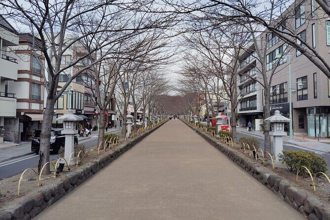 Kamakura: Tsurugaoka Hachimangu & Komachi Street Tour - FAQ