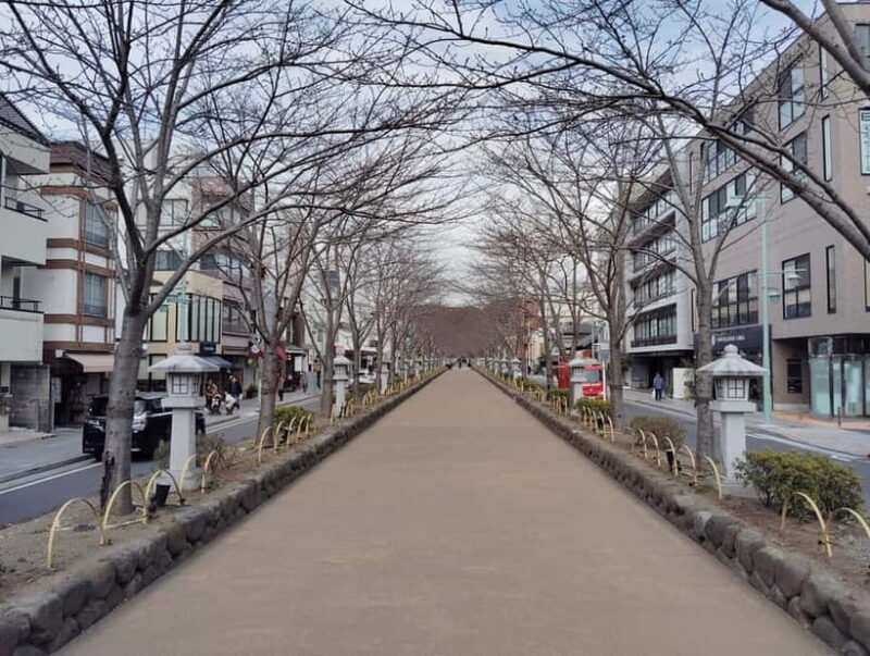 Kamakura: Tsurugaoka Hachimangu & Komachi Street Tour - Potential Improvements