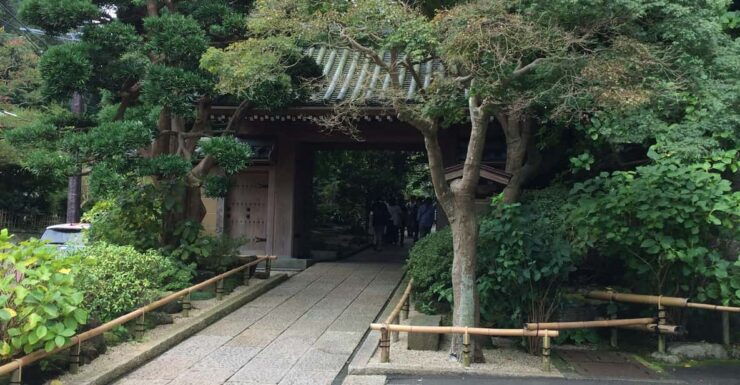 Kamakura Walking Tour With Local Guide Including Hokokuji - Good To Know