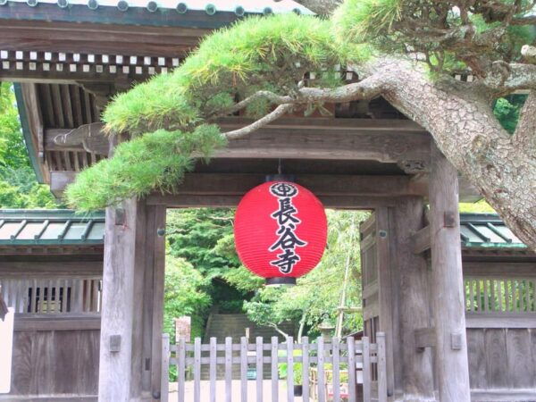 Kamakura Walking Tour With Local Guide Including Hokokuji - Booking Information