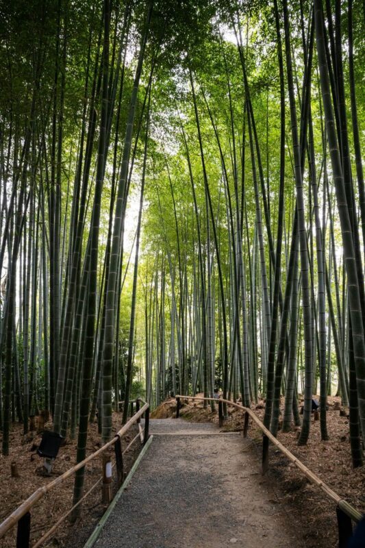Kamakura & Yokohama Full-Day Private Guided Tour - Who should choose this tour?