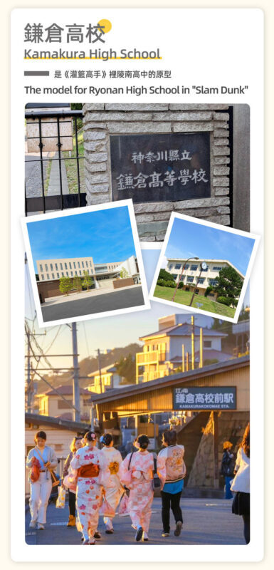 Kamakura & Yokohama | Includes Train Experience: Enoshima & Kamakura High School & Tsurugaoka Hachimangu Shrine & Yokohama Night View Day Trip (From Tokyo) - Practical details before you go