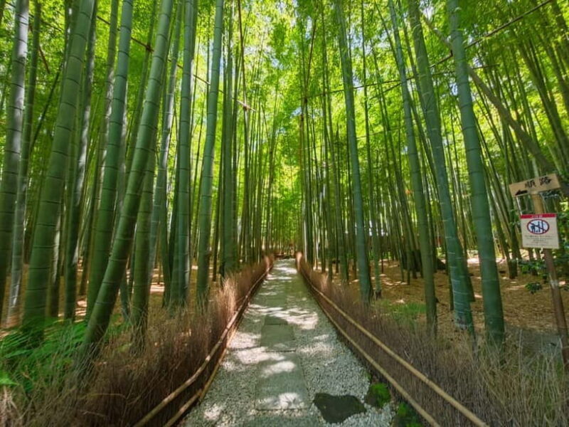 Kamakura Zen: Great Buddha, Nature, Bamboo & Samurai Culture - The Authenticity and Value of the Experience