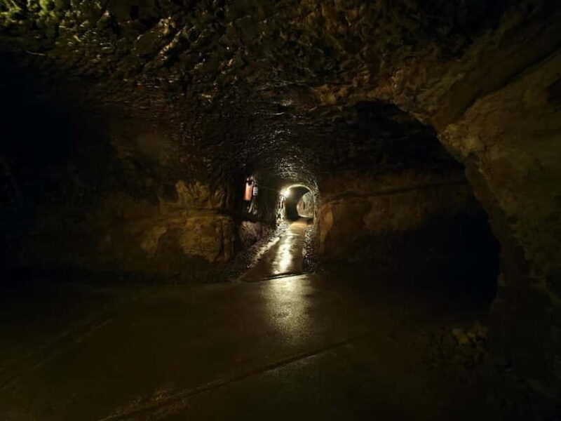 Kamakura Zen: Great Buddha, Nature, Bamboo & Samurai Culture - Practical Details and Value