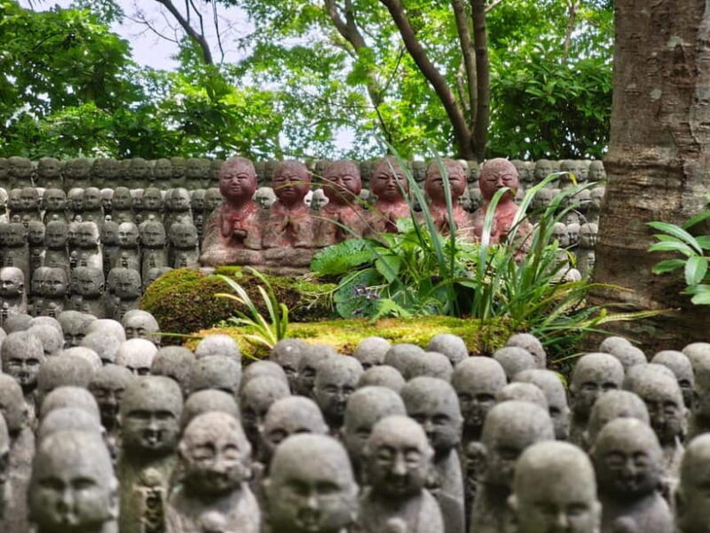 Kamakura Zen: Great Buddha, Nature, Bamboo & Samurai Culture - Who Is This Tour Best For?