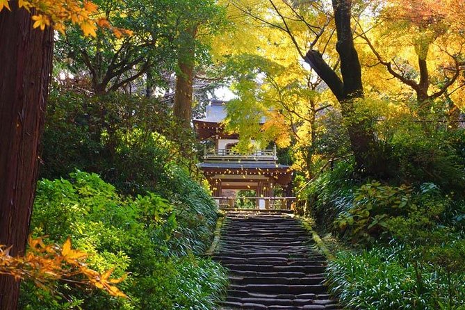 Kamakura Zen Temples and Gardens Private Trip With Government-Licensed Guide - Meeting and Pickup Logistics