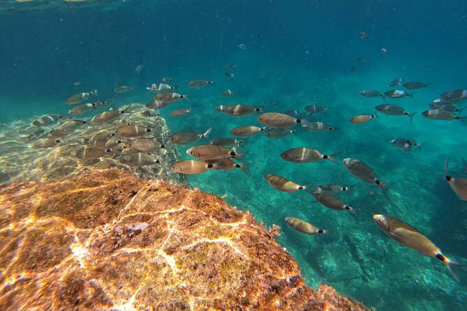 Kamenjak Nature Park: Kayak Tour With Snorkeling & Cave Exploring - Additional Information