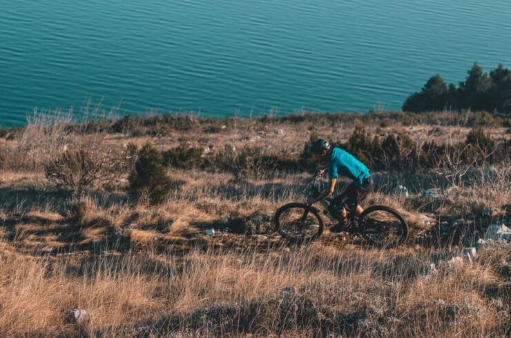 Kamenjak, Rabac: Bike Tour With Olive Oil & Fish Tasting - Activity Details