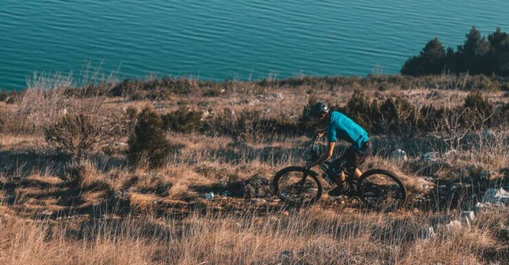 Kamenjak, Rabac: Bike Tour With Olive Oil & Fish Tasting - Experience Highlights