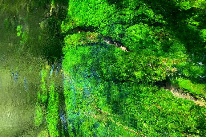 Kamikochi Feel Nature and Hiking 1 Day Trip (Near Takayama) - Cancellation and Refund Policy