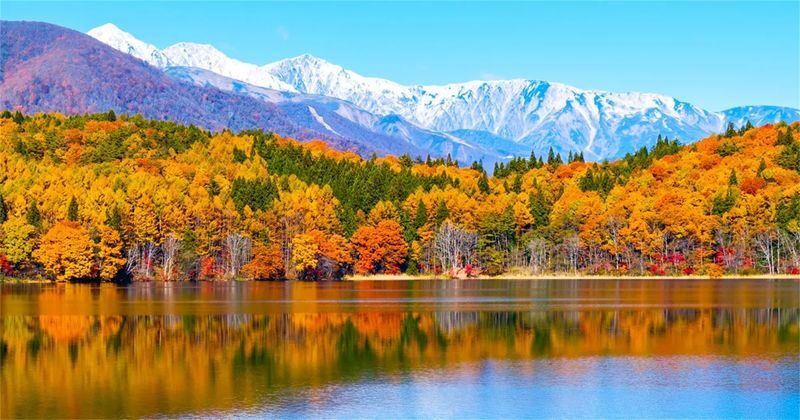 Kamikochi & Kappa Bridge Full-Day Alpine Route Hiking - What to know before you go