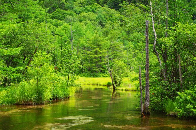 Kamikochi Mountain Day Trip from Tokyo - FAQ