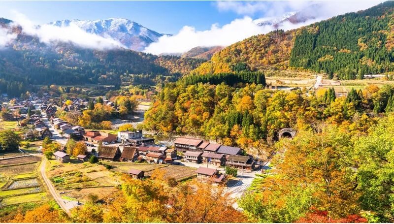 Kamikochi & Shirakawa-go & Hida Takayama & Gujo Hachiman Old Town 2-Day Tour (Departing from Nagoya/Includes Accommodation + Breakfast) - From Nagoya to Gujo Hachiman’s water lanes