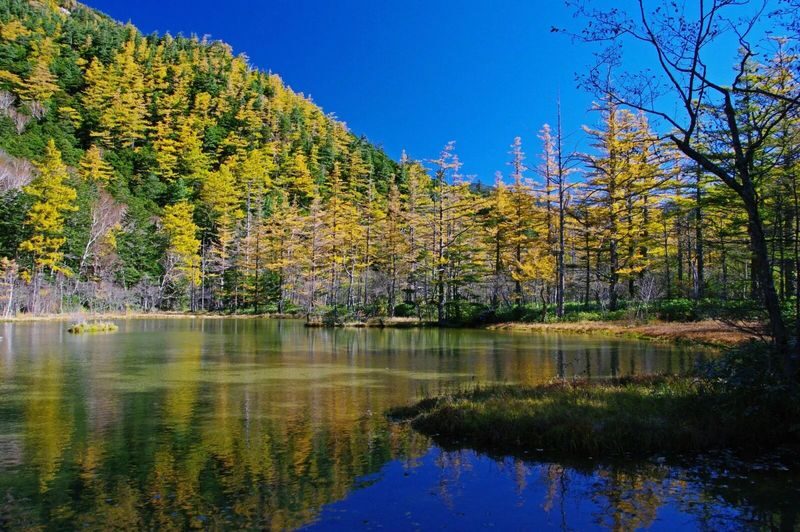 Kamikochi & Shirakawa-go & Hida Takayama & Gujo Hachiman Old Town 2-Day Tour (Departing from Nagoya/Includes Accommodation + Breakfast) - Kamikochi: a real walk, not just a viewpoint