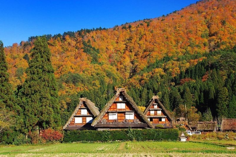 Kamikochi & Shirakawa-go & Hida Takayama & Gujo Hachiman Old Town 2-Day Tour (Departing from Nagoya/Includes Accommodation + Breakfast) - Should you book it?