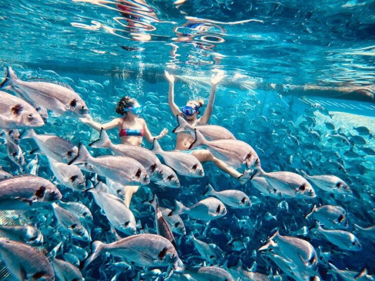 Kamiros Skala: Guided Cruise With Snorkeling and Dolphins - Booking Information
