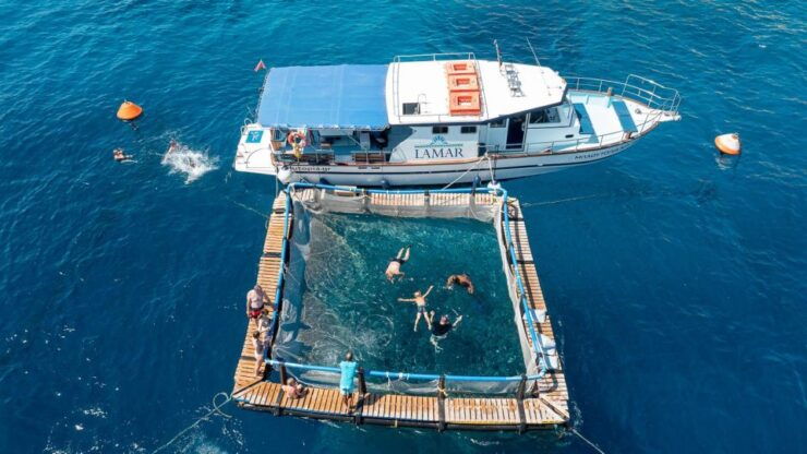 Kamiros Skala: Guided Cruise With Snorkeling and Dolphins - Experience Highlights