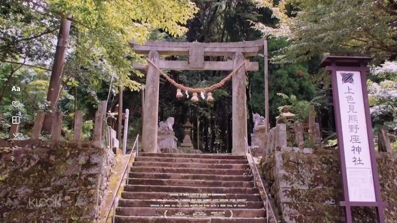 阿蘇中岳火山 & Kamishikimi Kumanoimasu Shrine One-day Downtown Highlights & City Highlights Tour - What to know before booking