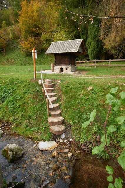 Kamnik: Kneipp Barefoot Experience - Experience Overview