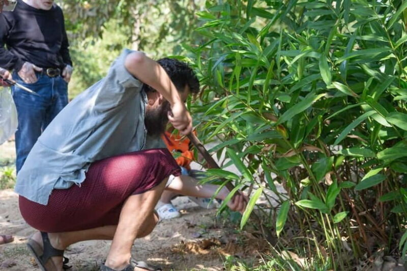 Kampot Countryside: Authentic Khmer Cooking Class - Who is this tour best suited for?